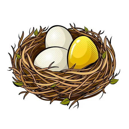 Nest